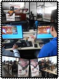 全國(guó)格斗大賽省賽首戰(zhàn)場(chǎng)館啟用先進(jìn)網(wǎng)絡(luò)設(shè)備，助力賽事直播與銷(xiāo)售新機(jī)遇