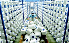 堅(jiān)持質(zhì)量效益型之路